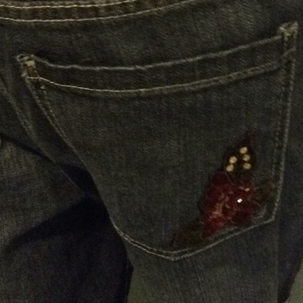 New York & Company Dark Blue Boot Cut Jeans with Red Floral Embroidery - Picture 2 of 10